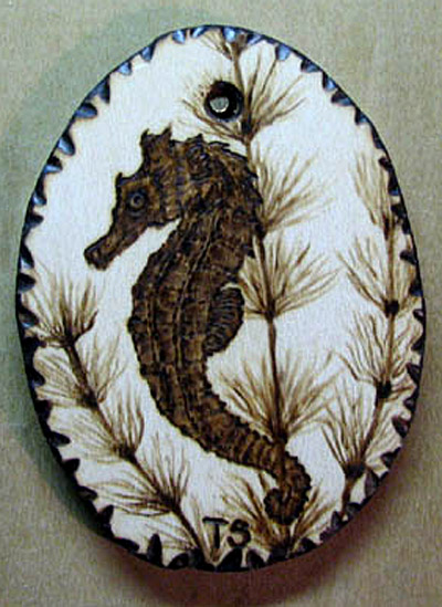 seapony seahorse hippocampus